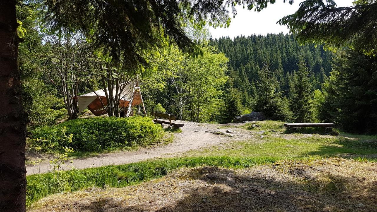 Gasthaus Ruebenau Rubenau Εξωτερικό φωτογραφία
